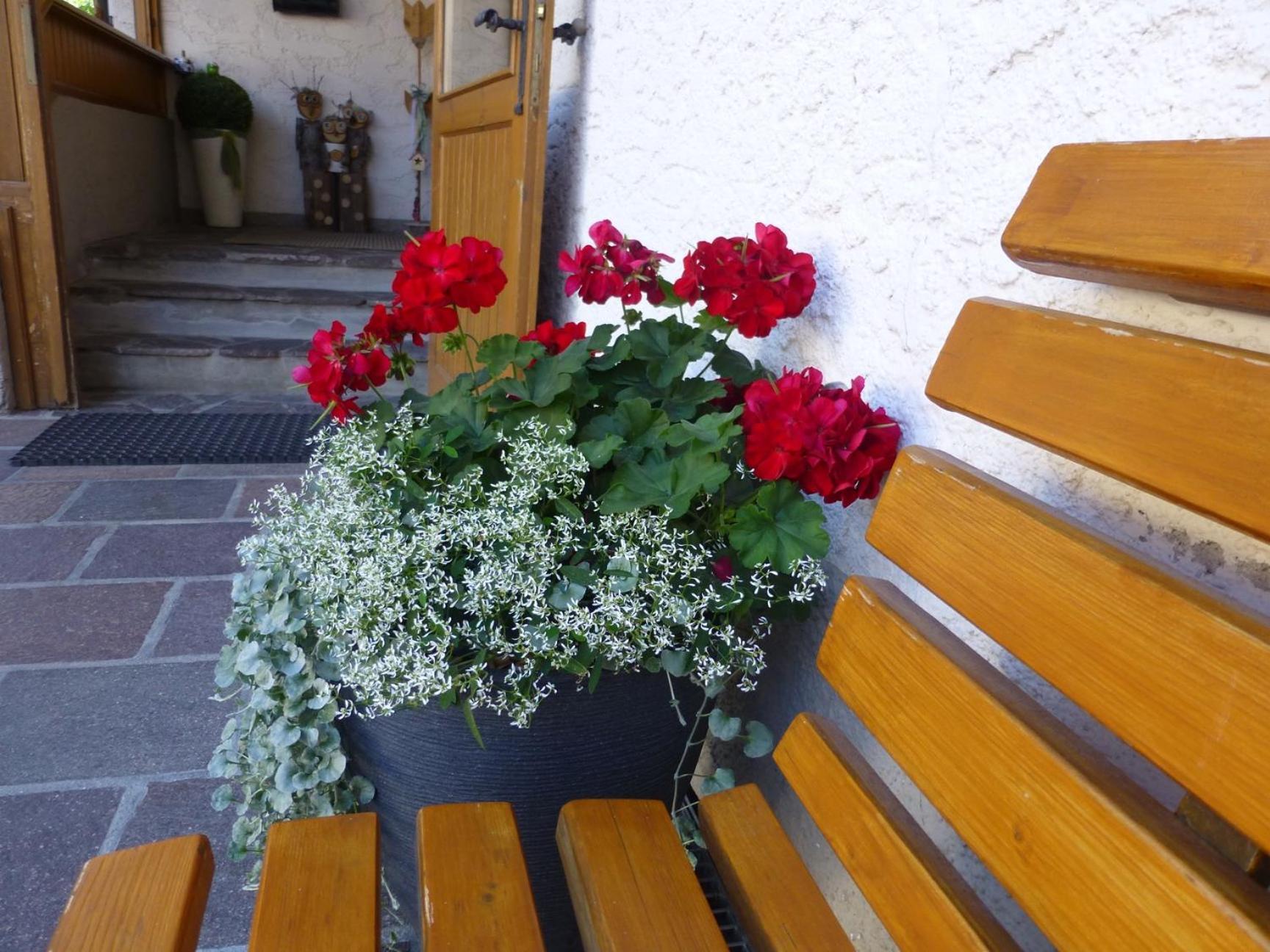 Bed and Breakfast Garni Helfer Toblach Exteriér fotografie