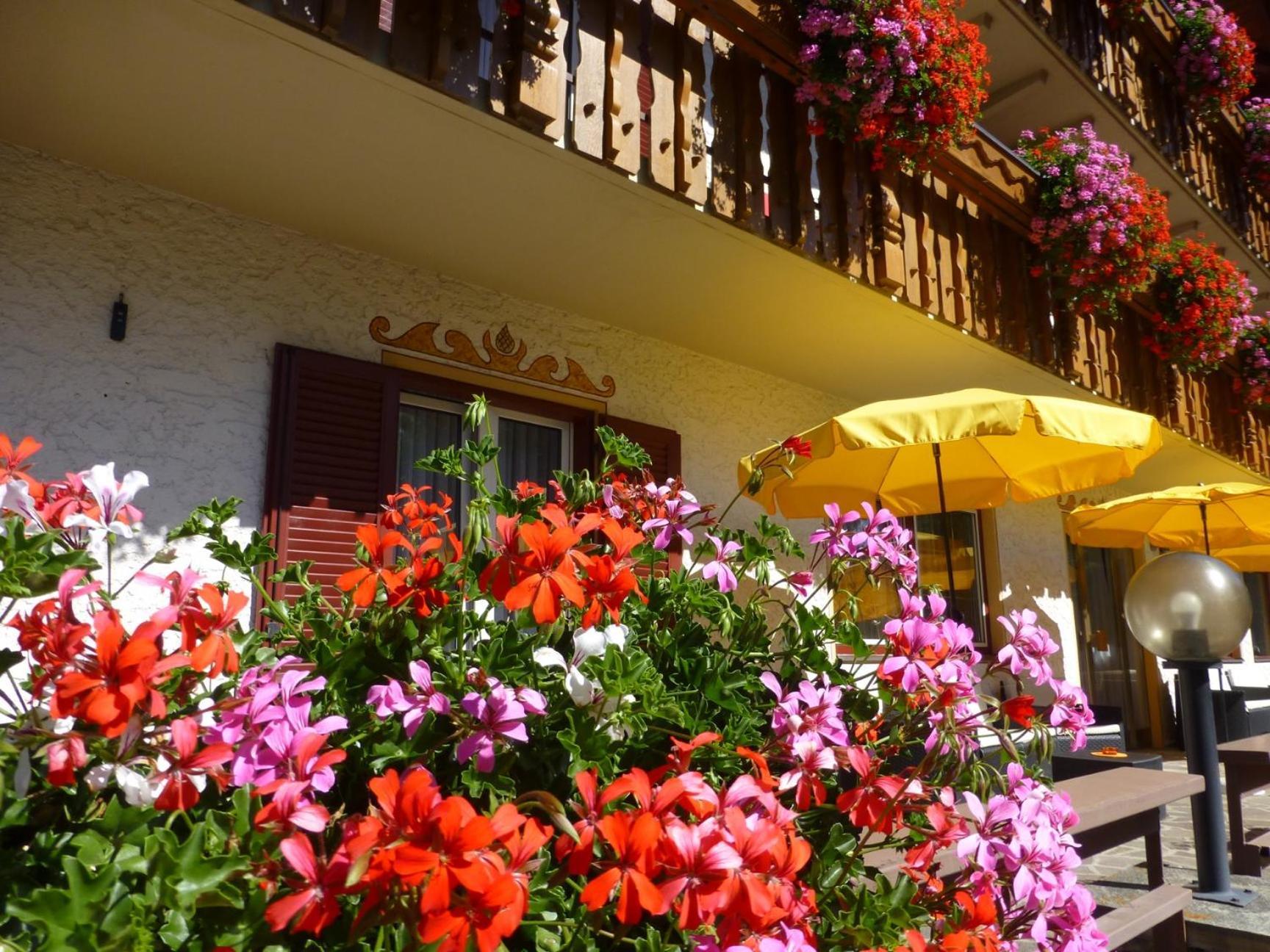 Bed and Breakfast Garni Helfer Toblach Exteriér fotografie