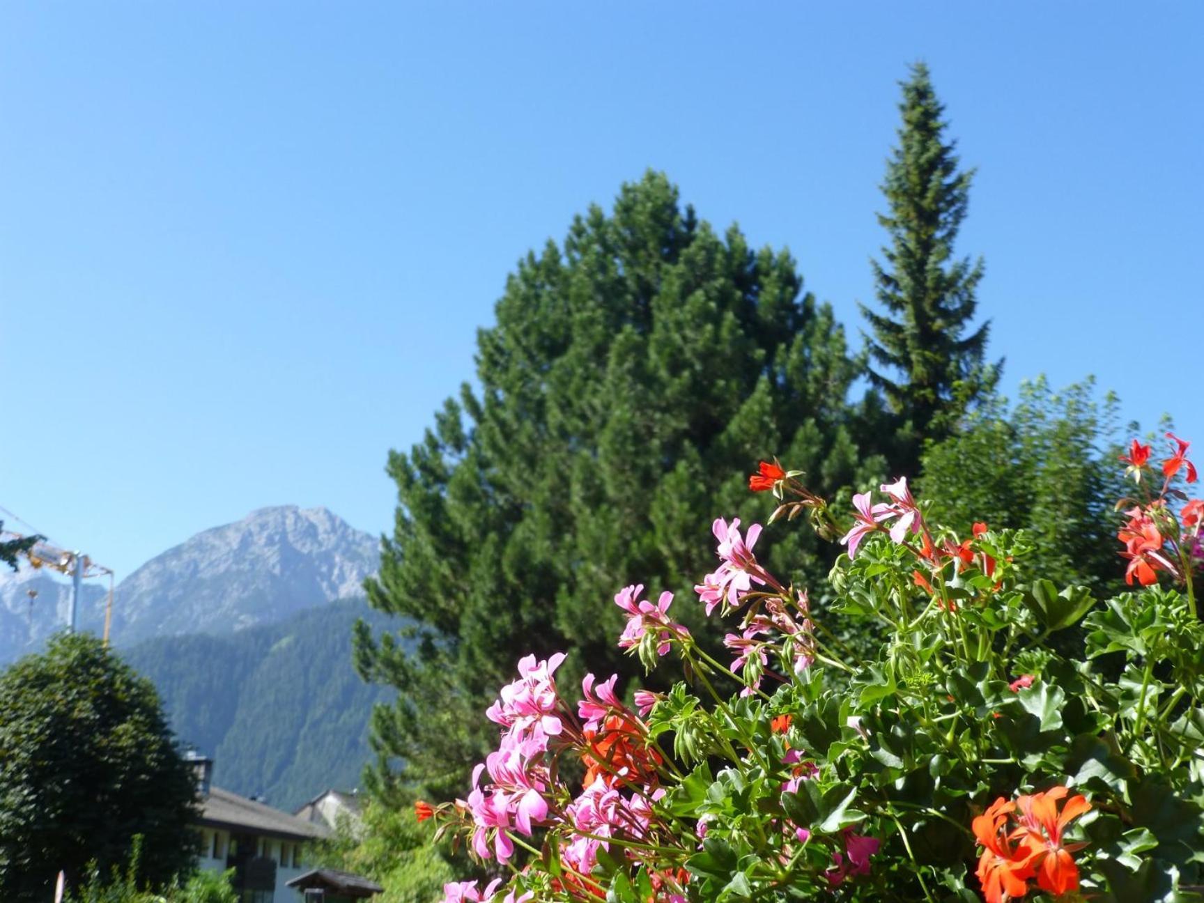 Bed and Breakfast Garni Helfer Toblach Exteriér fotografie